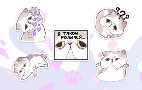 Кот печенька