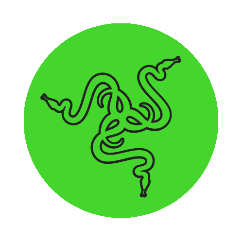 Рейзер фист