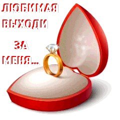 Плакат выходи за меня замуж