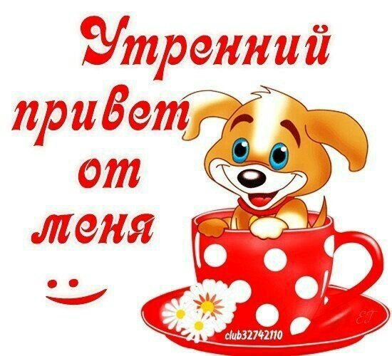 Солнце пьет кофе