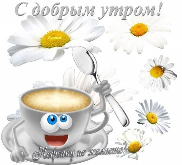 Чашка кофе и цветы на прозрачном фоне