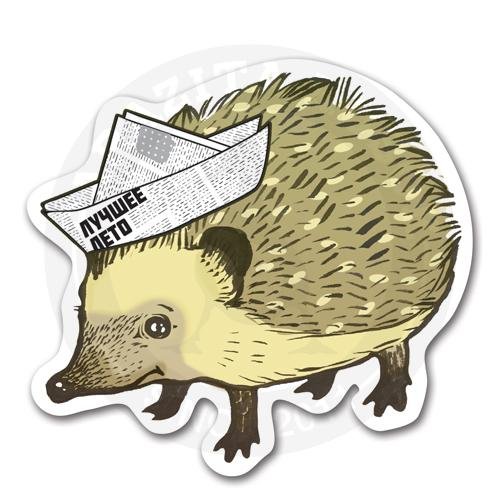 Стикеры еж