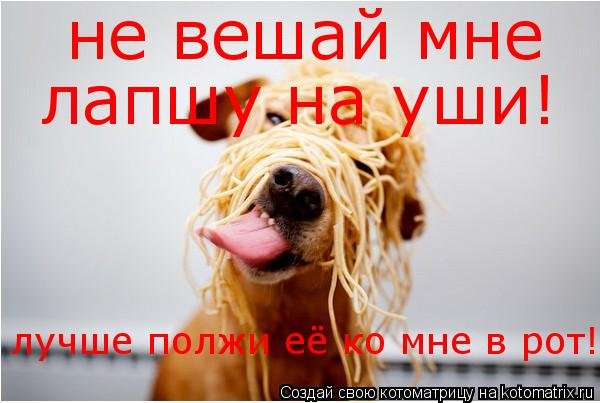 Фразеологизм вешать лапшу на уши