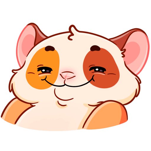 Твиг морская Свинка