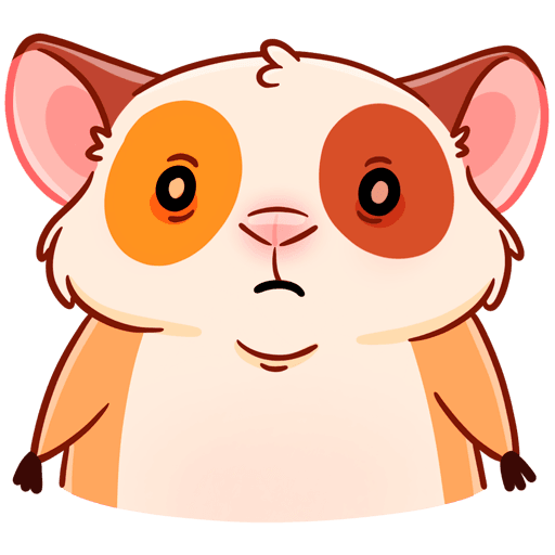 Твиг морская Свинка