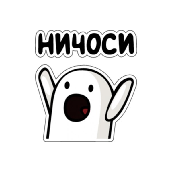 Удивленный кот на белом фоне