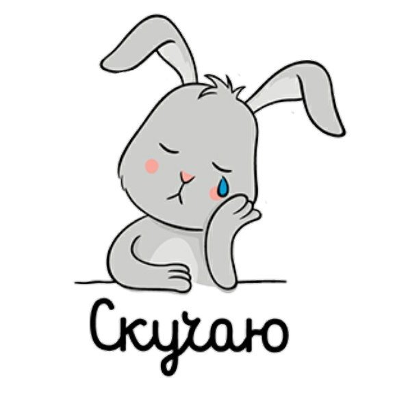 Зайка соскучилась