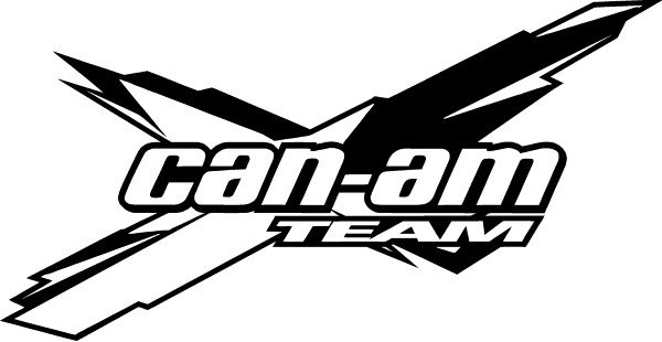 Валор покемон го