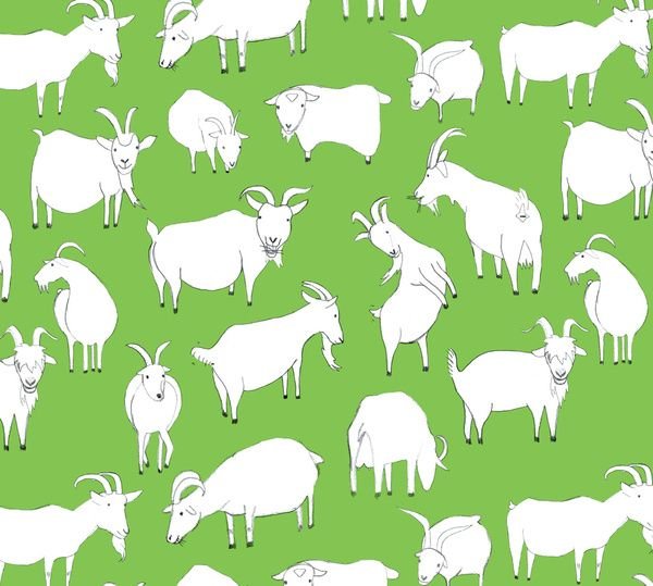 Много козы вектор