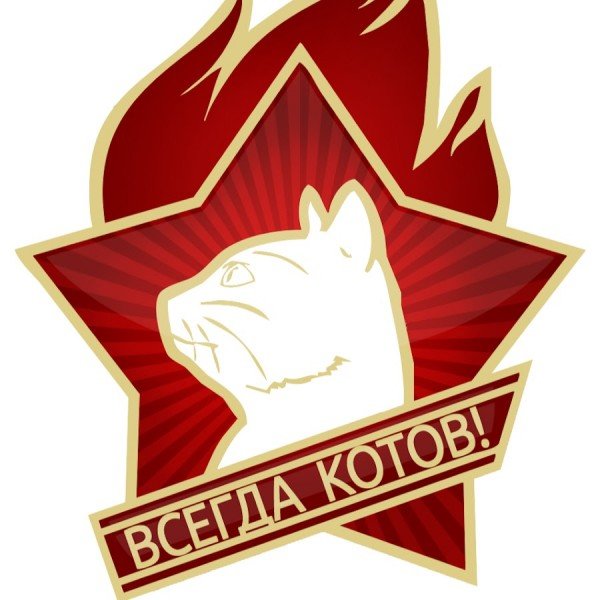 Пионерский значок всегда котов