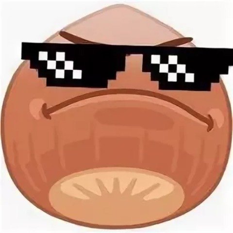 Справедливо орехус