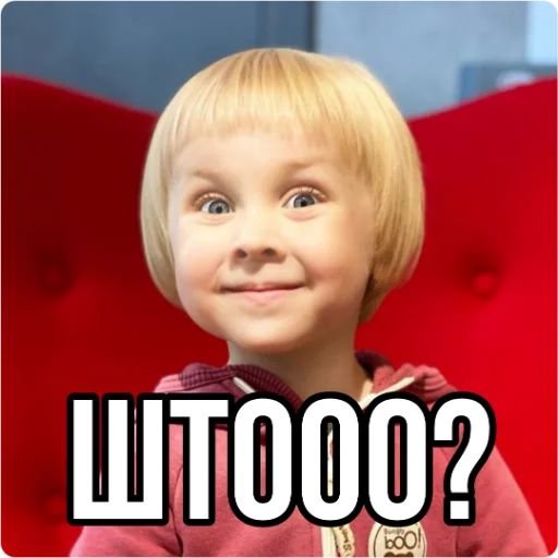 Василиса с факом