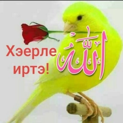 Открытки хэерле иртэ на татарском