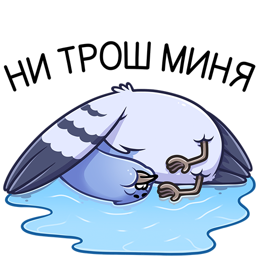 Голубь Михаил