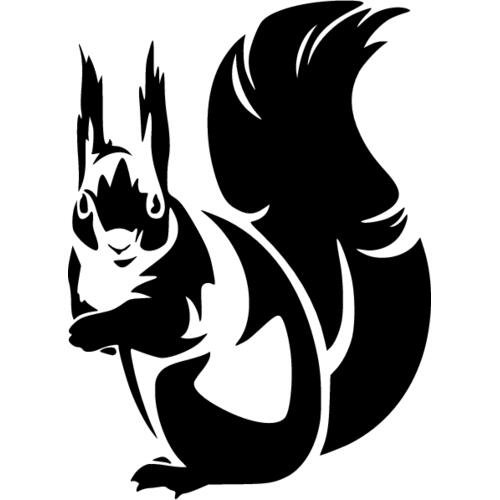 Белочка вектор линии