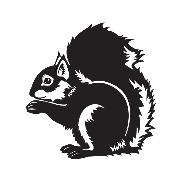 Белочки мультяшные