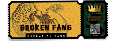 Broken Fang CS go пропуск