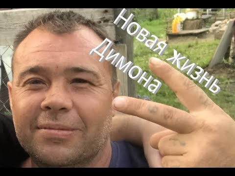 Дмитрий заминированный тапок