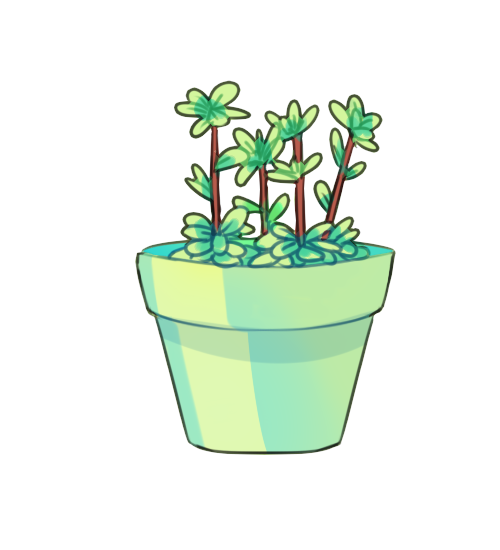 Стикеры растения в горшках