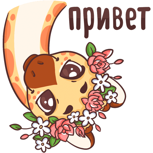 Спасибо солнышко