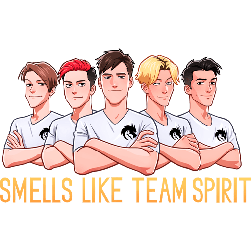 Team Spirit наклейки