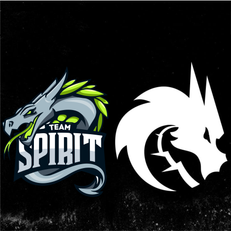 Команда тим спирит