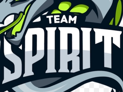 Team Spirit логотип