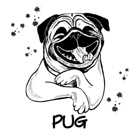 Мопс с пончиком