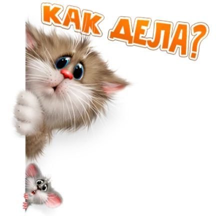 Приветики как делишки