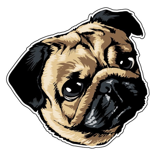 Наклейка - Мопс