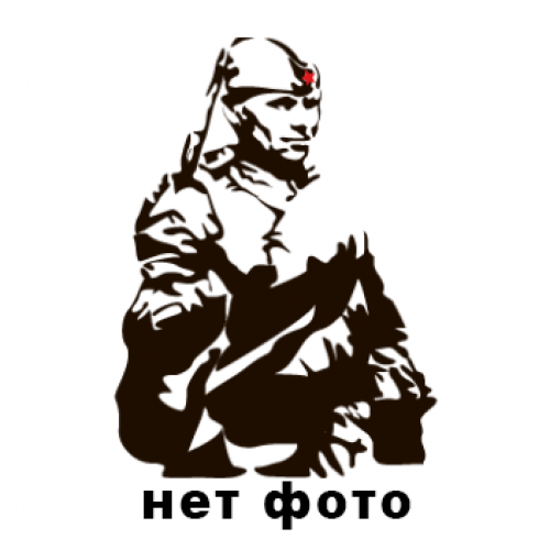 Силуэт солдата Великой Отечественной войны