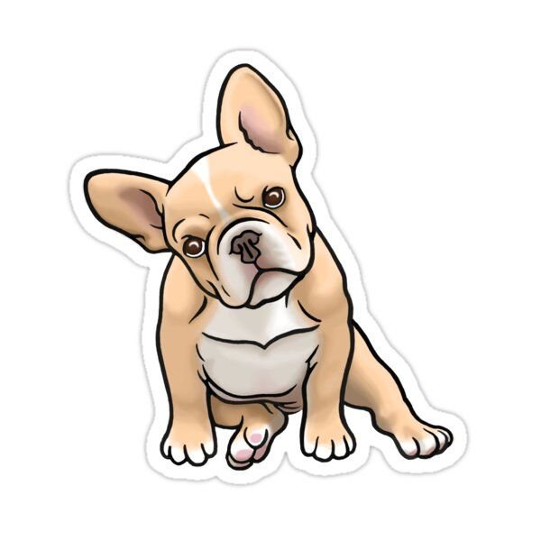 Стикеры французский бульдог для ватсап