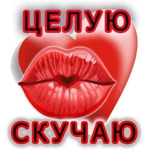 Целую обнимаю