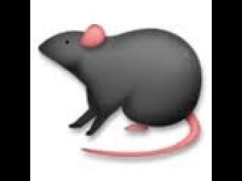 Смайлик крысы