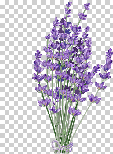 Смайлик Лаванда