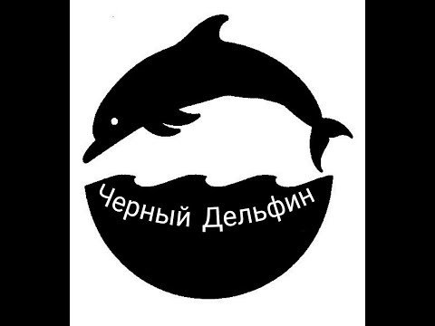 Черный Дельфин логотип