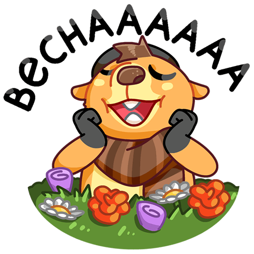 Сурок Билл Стикеры ВК