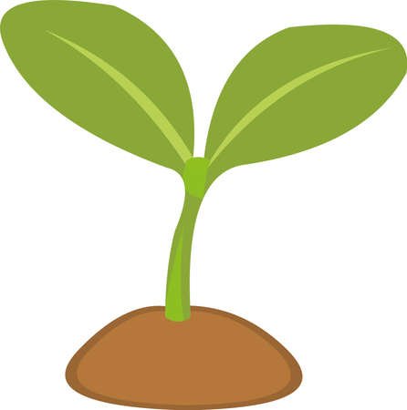 Смайл Росток