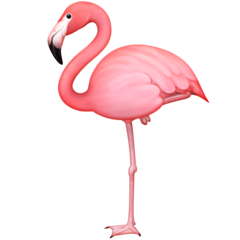 Смайлик Фламинго