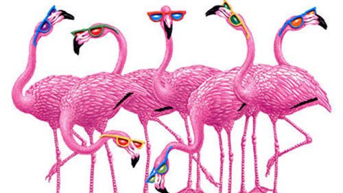 Фламинго на прозрачном фоне для фотошопа