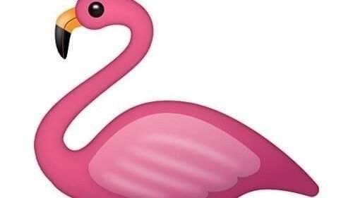 Фламинго иллюстрация