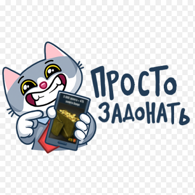Донат кот