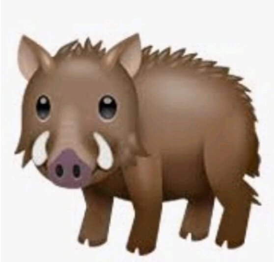 Смайлик кабана