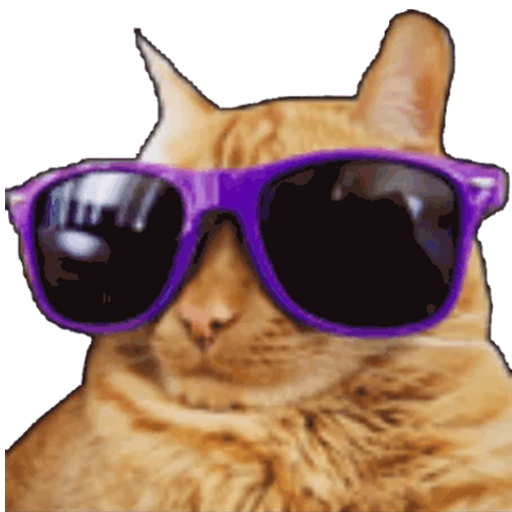 COOLCAT смайлик