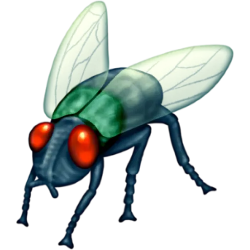 Смайлик мухи в ВК