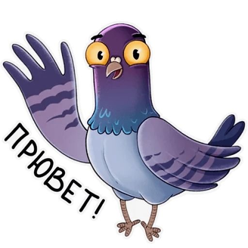 ЭМОДЖИ голубь