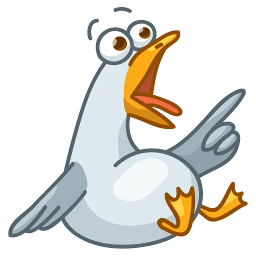 Голубь на белом фоне