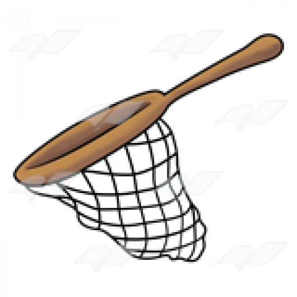 Человек с сачком