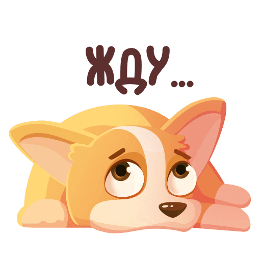 Стикер жду