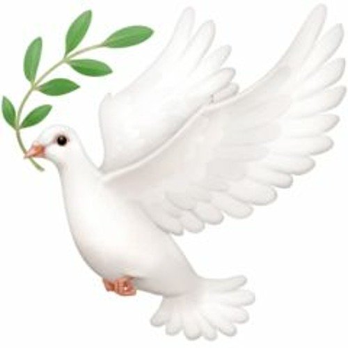 Эмодзи белый голубь